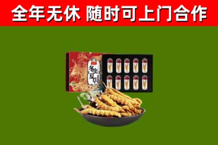 金坛烟酒回收冬虫夏草礼盒.jpg